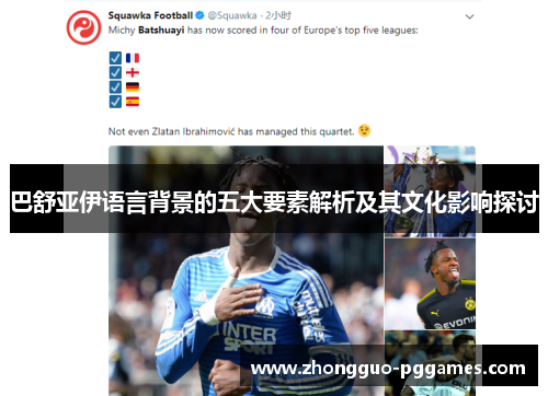 巴舒亚伊语言背景的五大要素解析及其文化影响探讨 巴舒亚伊语言背景的五大要素解析及其文化影响探讨