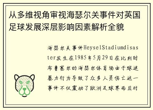 从多维视角审视海瑟尔关事件对英国足球发展深层影响因素解析全貌 从多维视角审视海瑟尔关事件对英国足球发展深层影响因素解析全貌