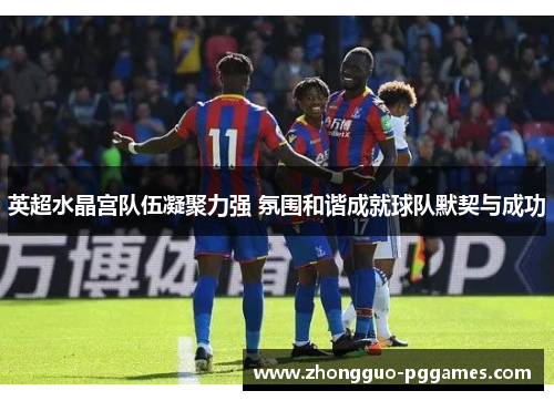 英超水晶宫队伍凝聚力强 氛围和谐成就球队默契与成功