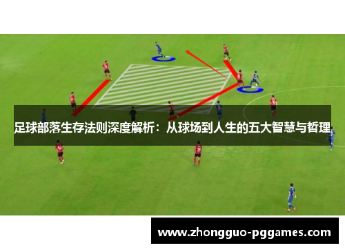 足球部落生存法则深度解析：从球场到人生的五大智慧与哲理