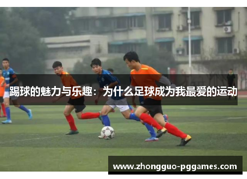 踢球的魅力与乐趣：为什么足球成为我最爱的运动